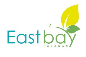East Bay Palawan House and Lot for Sale in Puerto Princesa Palawan, Filinvest Properties Palawan For Sale